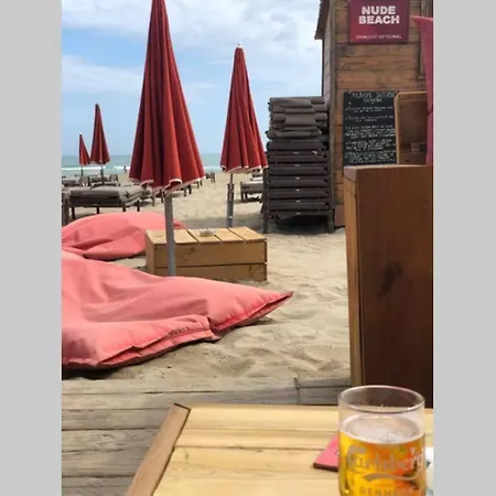 3 Pieces Avec Piscine Face A La